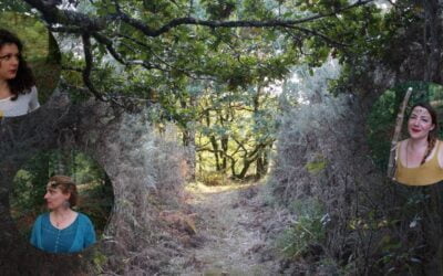 Voyage au Cœur de la Forêt de Huelgoat